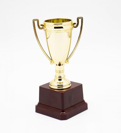 En Harika BabaTasarımlı Ödül Kupası ve Gold Kupa Hediye Seti
